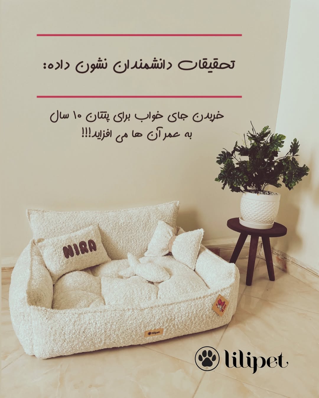 مبل پت طرح تدی