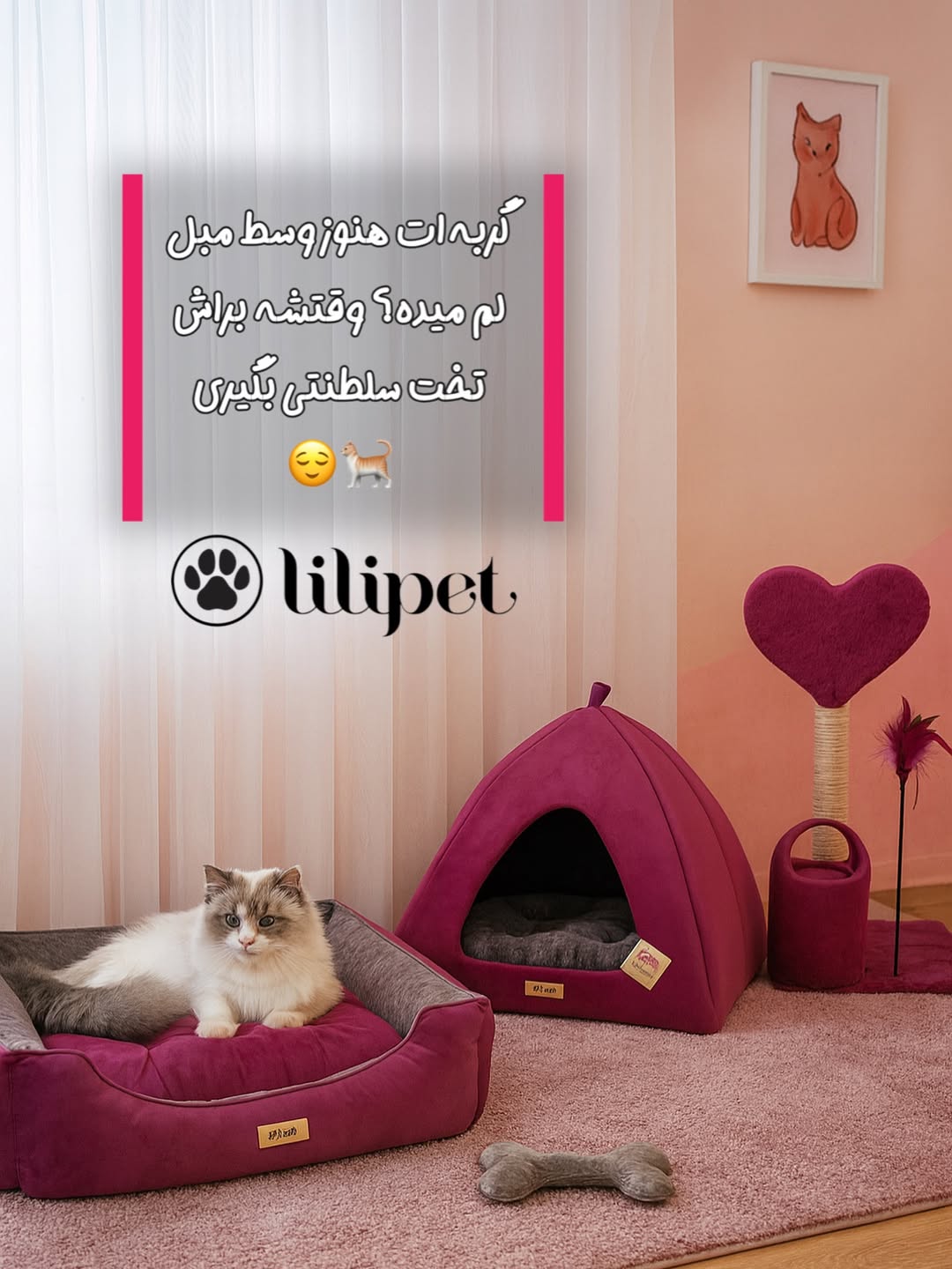 لانه‌ی هرمی گربه لوکس