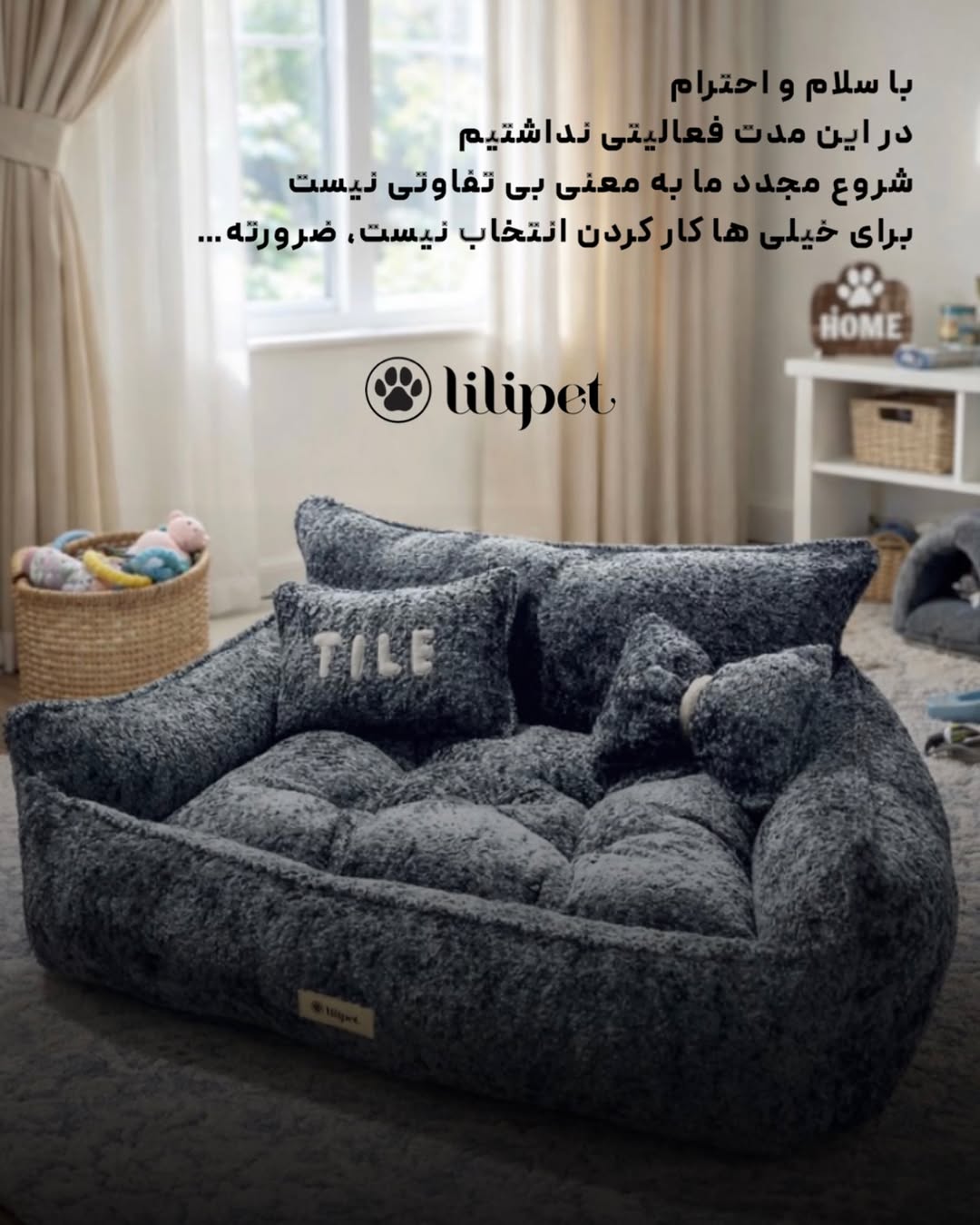 مبل لاکچری پت سایز 50در 70